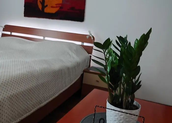 Apartma Marko Rogaska