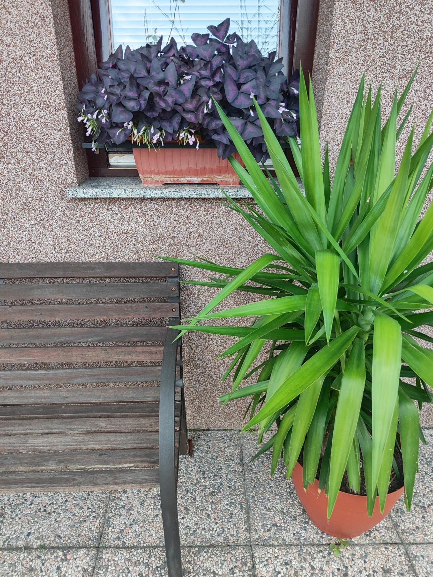 Apartma Marko Rogaska Rogaska Slatina